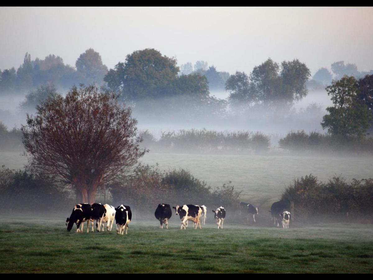 Hook Farm Cottages Royal Wootton Bassett Dış mekan fotoğraf